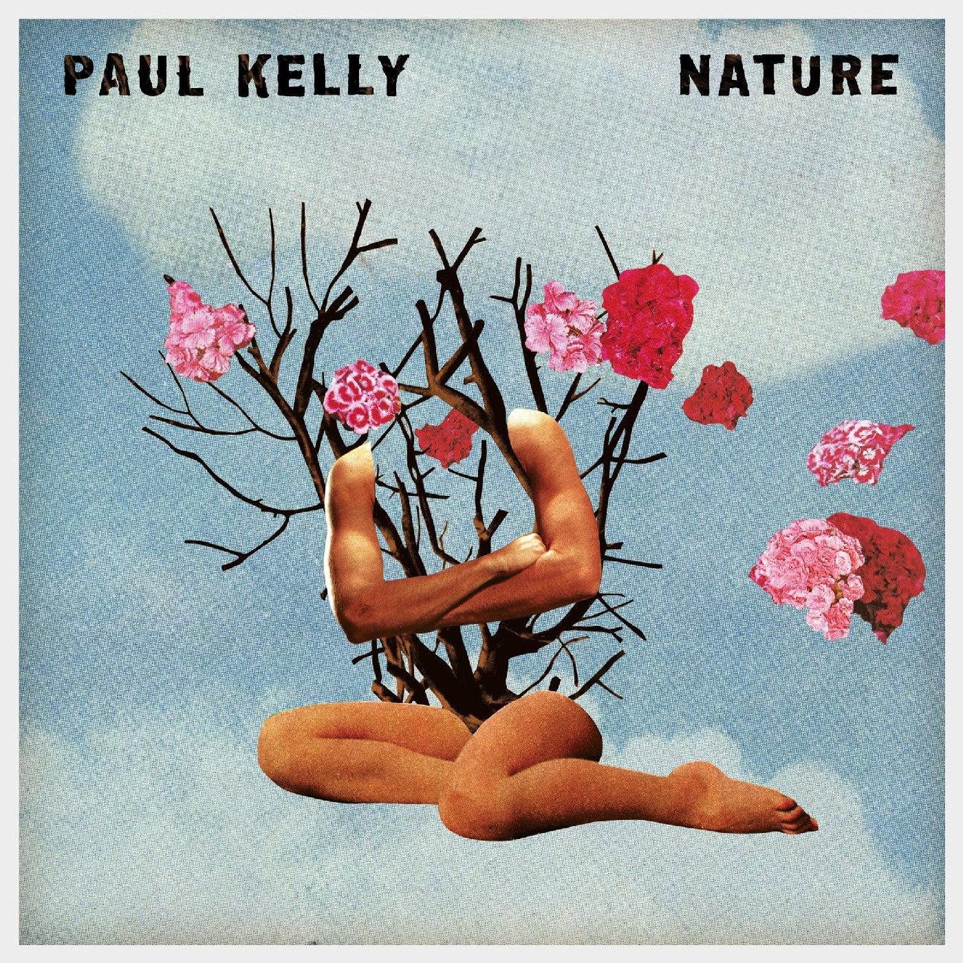 Paul Kelly | Nature | Vinyl