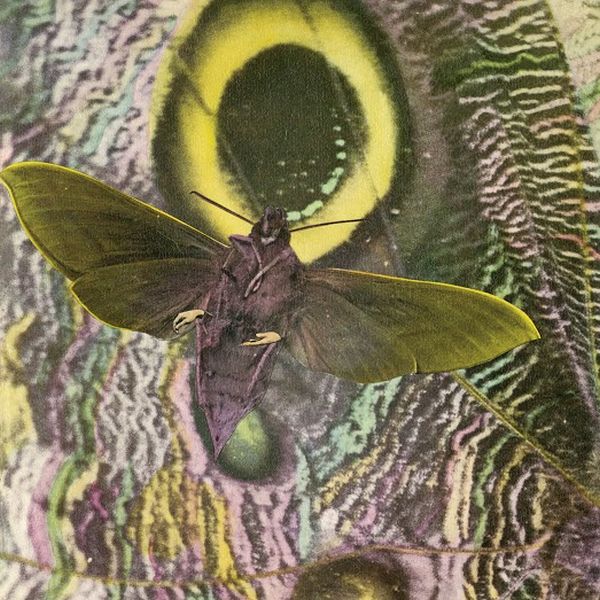 The Mothmen - Pay Attention! | Vinyl