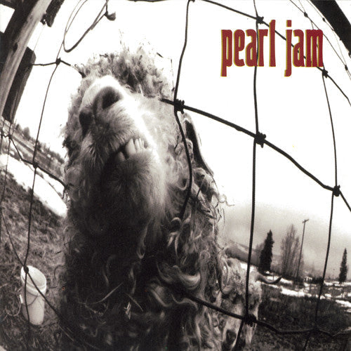 Pearl Jam - Vs. | CD