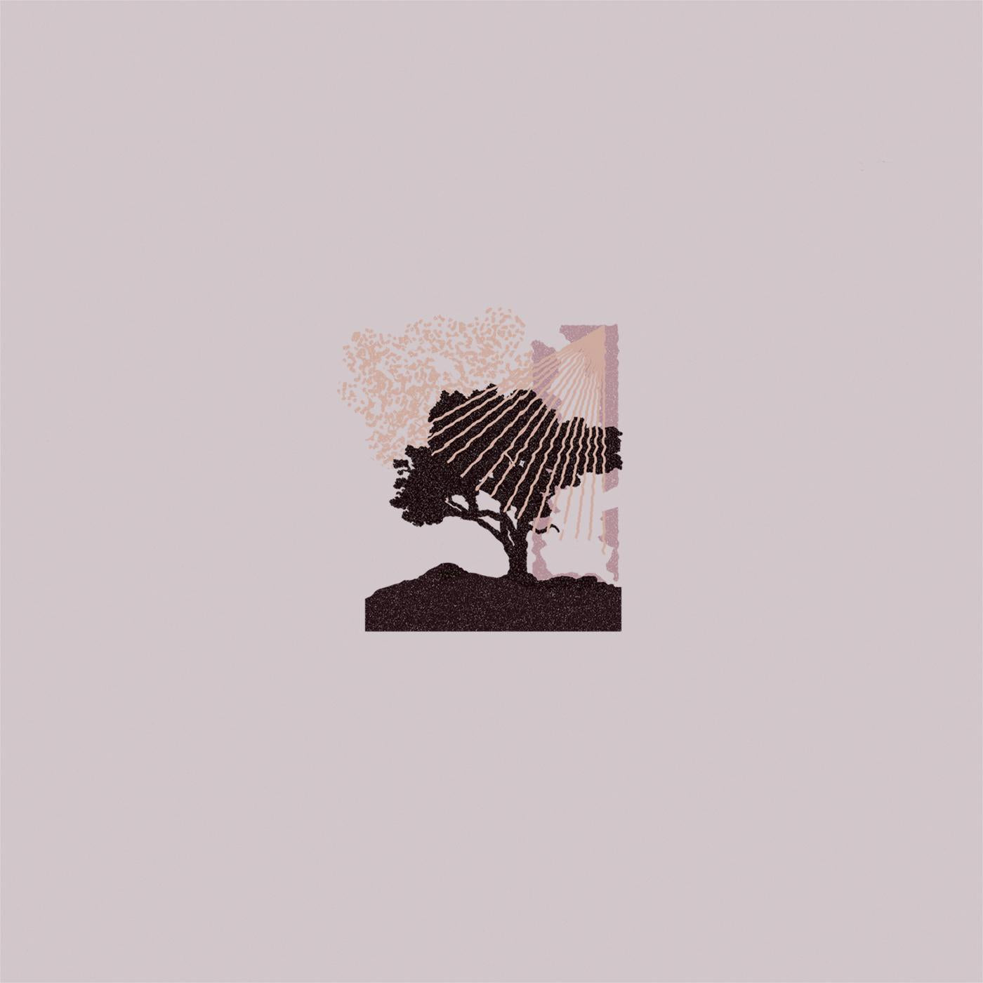 Land of Talk - Performances (ECOMIX VINYL) | Vinyl