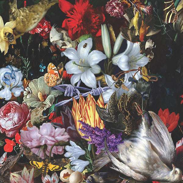 NIGHTINGALES - Perish The Thought | Vinyl