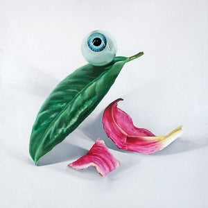 DELS - Petals Have Fallen | CD
