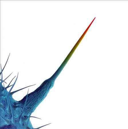 Peter Gabriel - AND I'LL SCRATCH YOURS | CD