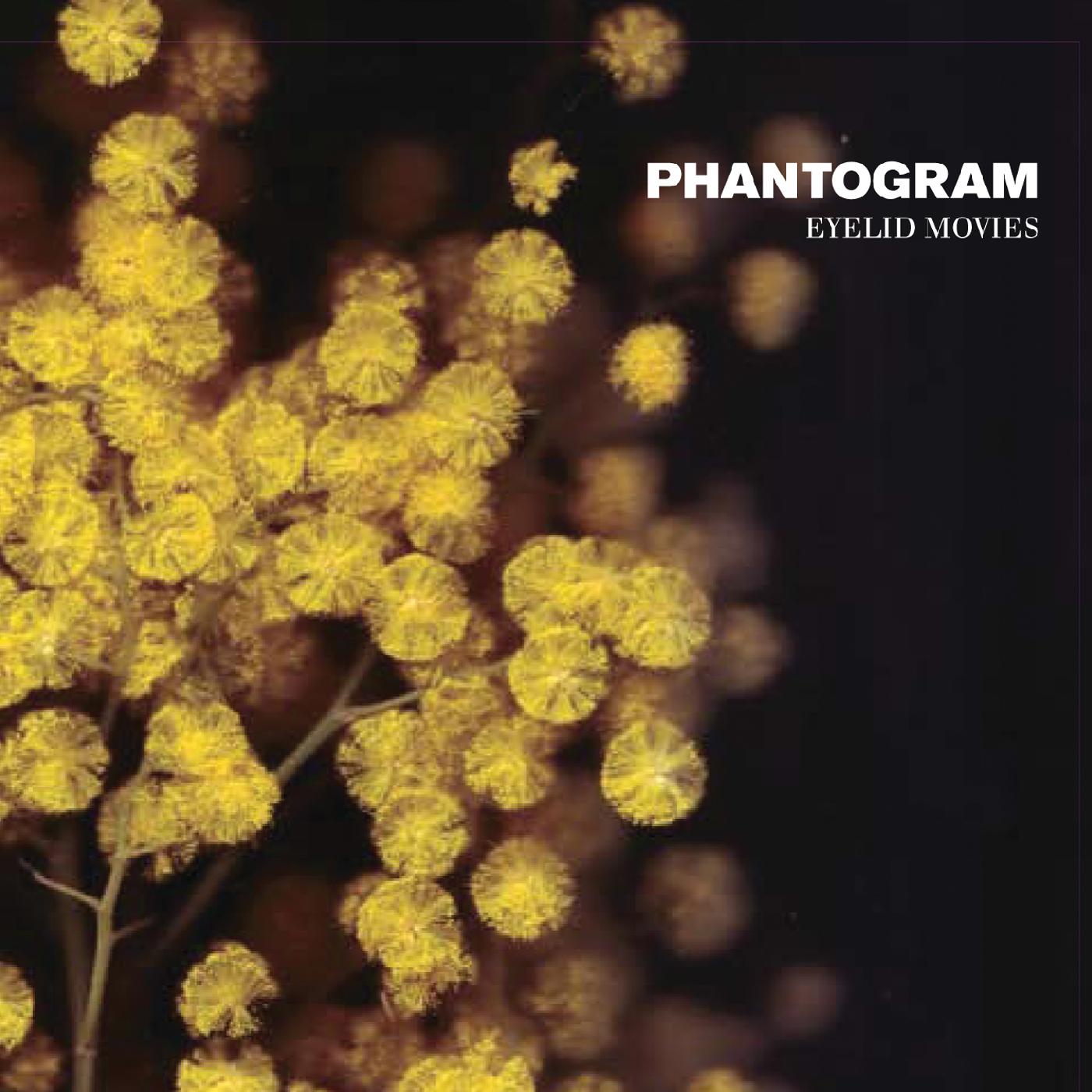 Phantogram | Eyelid Movies (Clear W/ Yellow Swirl Vinyl) | Vinyl