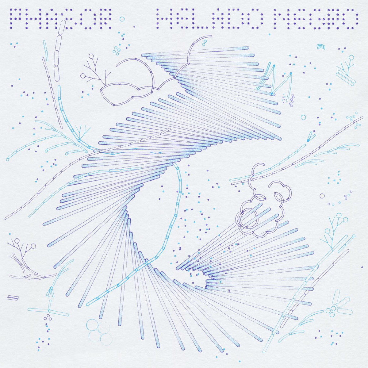 Helado Negro - Phasor | CD