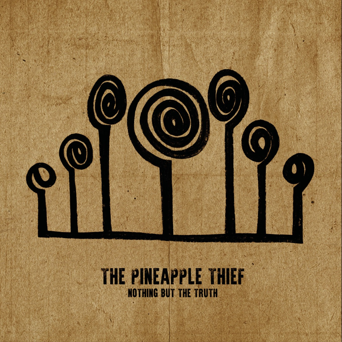 Pineapple Thief - Nothing But The Truth (2 Lp's) | Vinyl