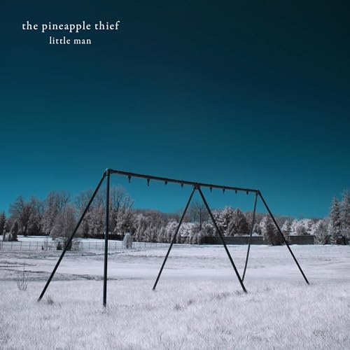 Pineapple Thief, The - Little Man | Vinyl