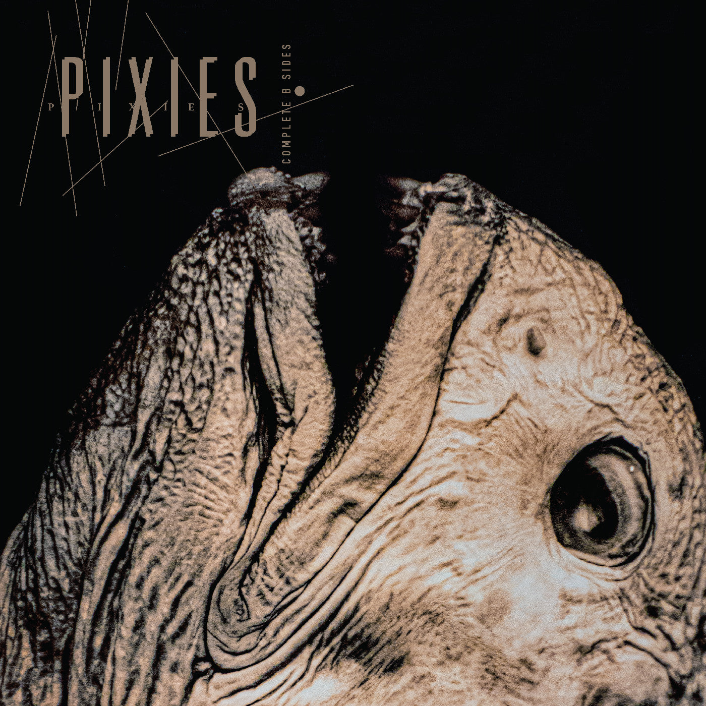 Pixies - Complete B Sides: 1988-97 | CD