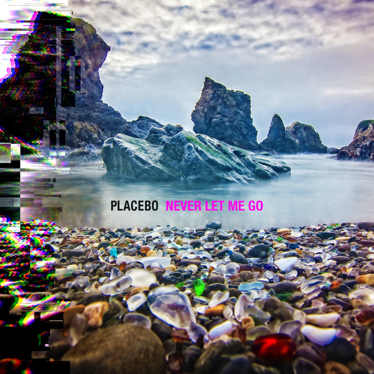 Placebo - Never Let Me Go | Vinyl