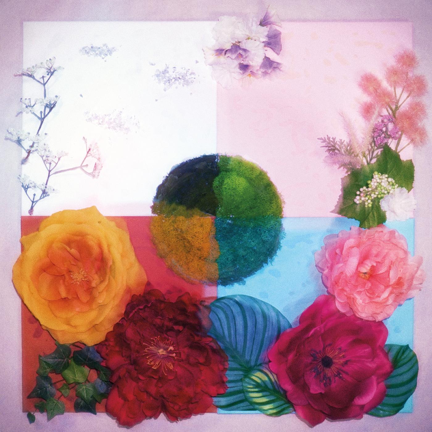 Zenizen - P.O.C (Proof of Concept) (PINK & MAROON VINYL) | Vinyl