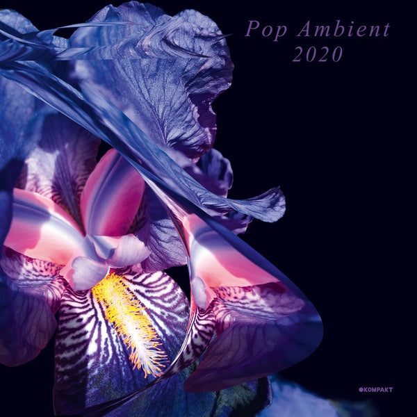 VA - Pop Ambient 2020 | CD