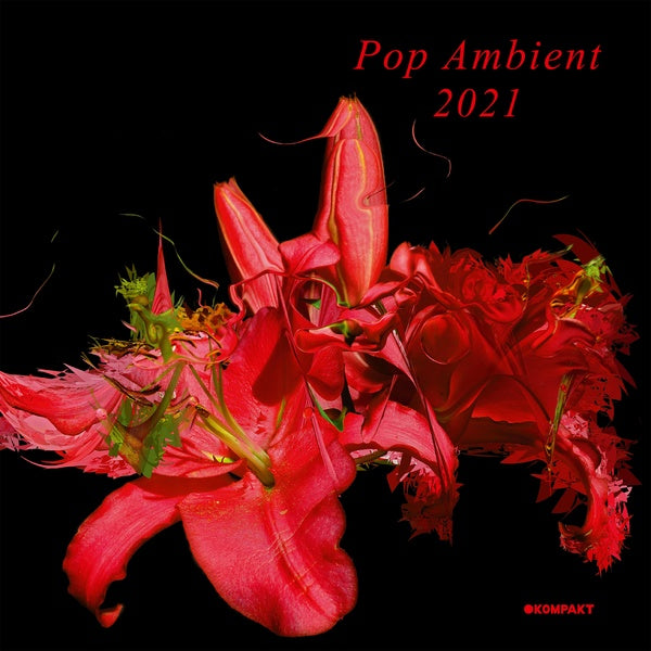 VA - Pop Ambient 2021 | CD