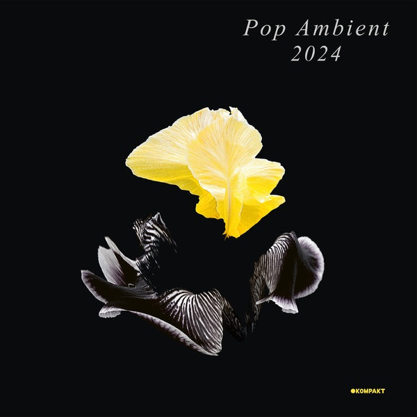 VA - Pop Ambient 2024 | CD