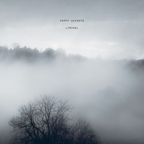 Poppy Ackroyd - Liminal | Vinyl