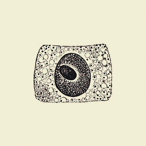 COIL - Porto | CD