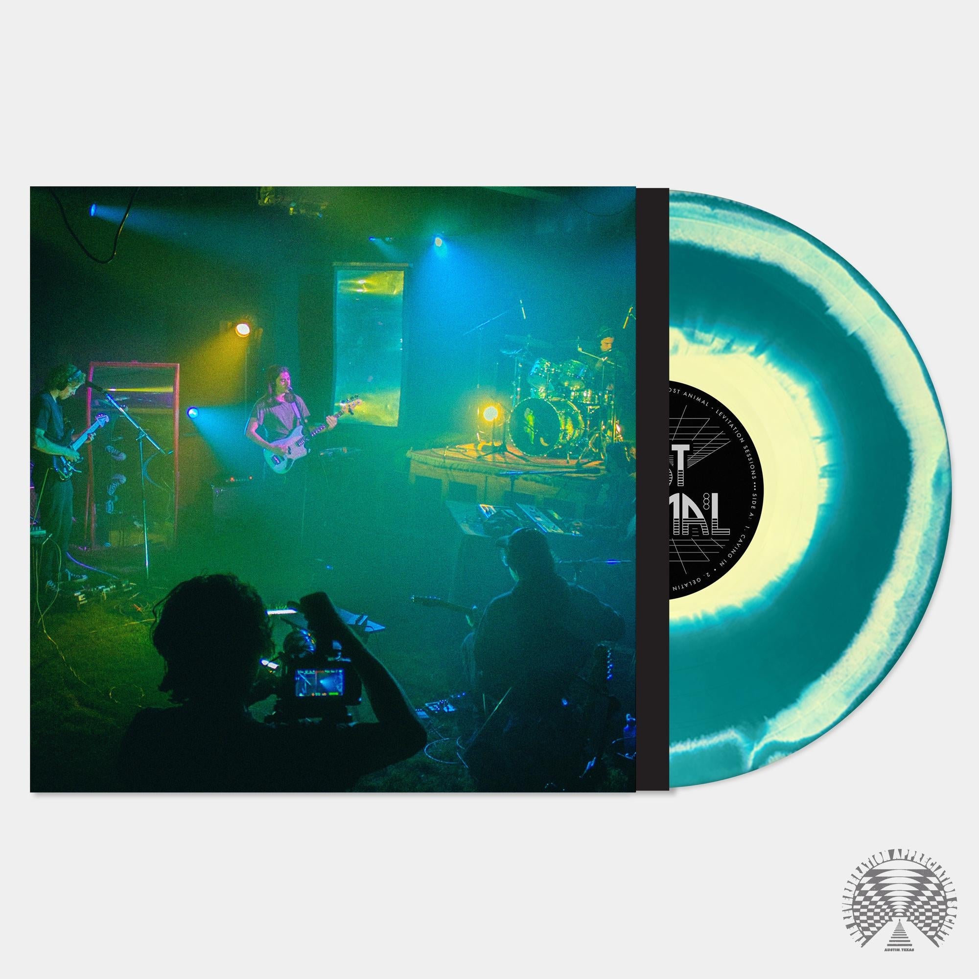 Post Animal - Levitation Sessions (Emerald Green / Yellow Swirl, Indie Exclusive) | Vinyl