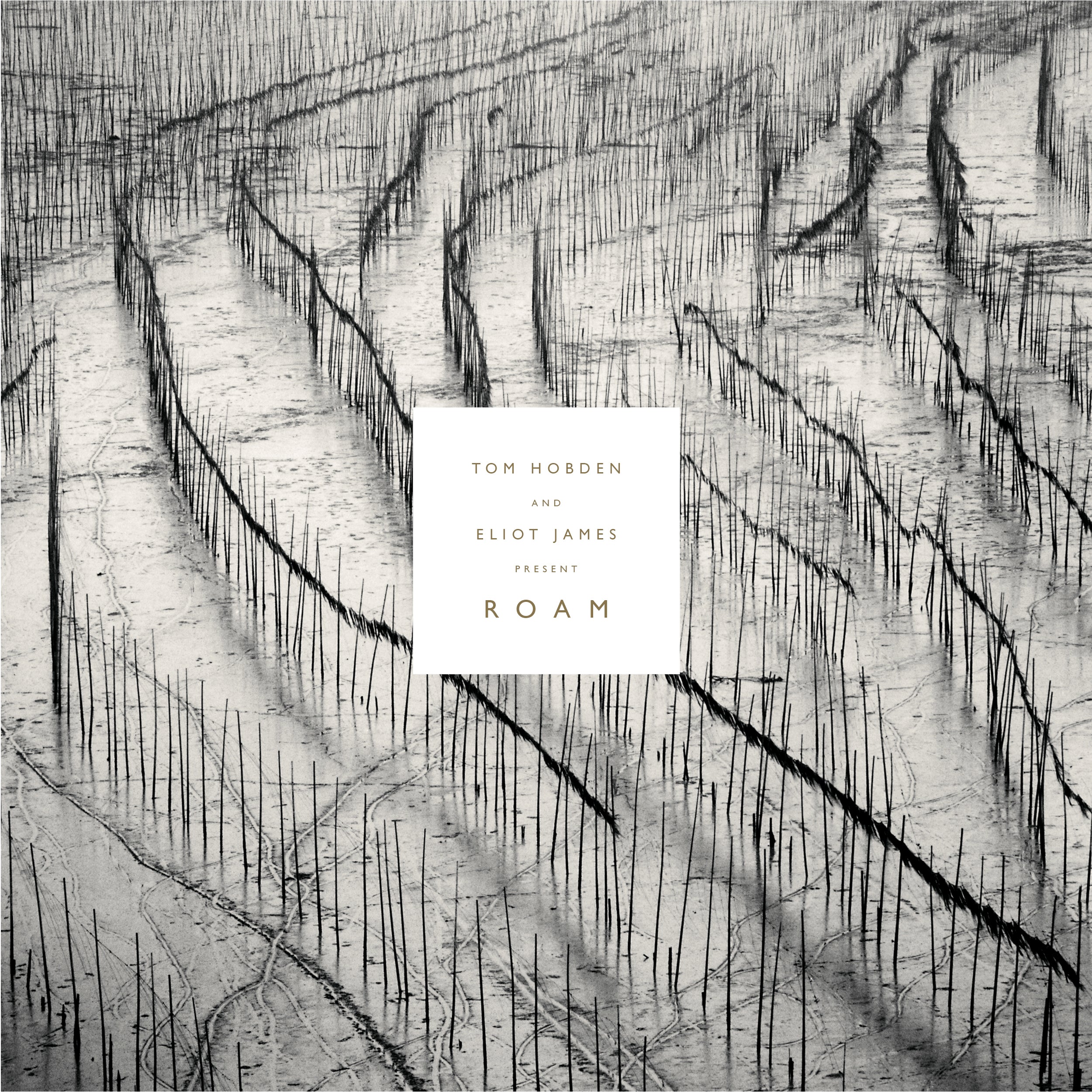 Tom and Eliot James Hobden - Present: Roam | Vinyl