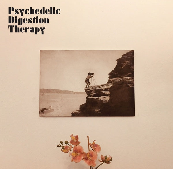 PSYCHEDELIC DIGESTION THERAPY - Psychedelic Digestion Therapy | Vinyl