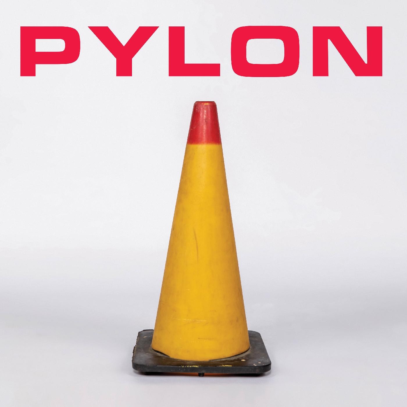 Pylon - Pylon Box | CD