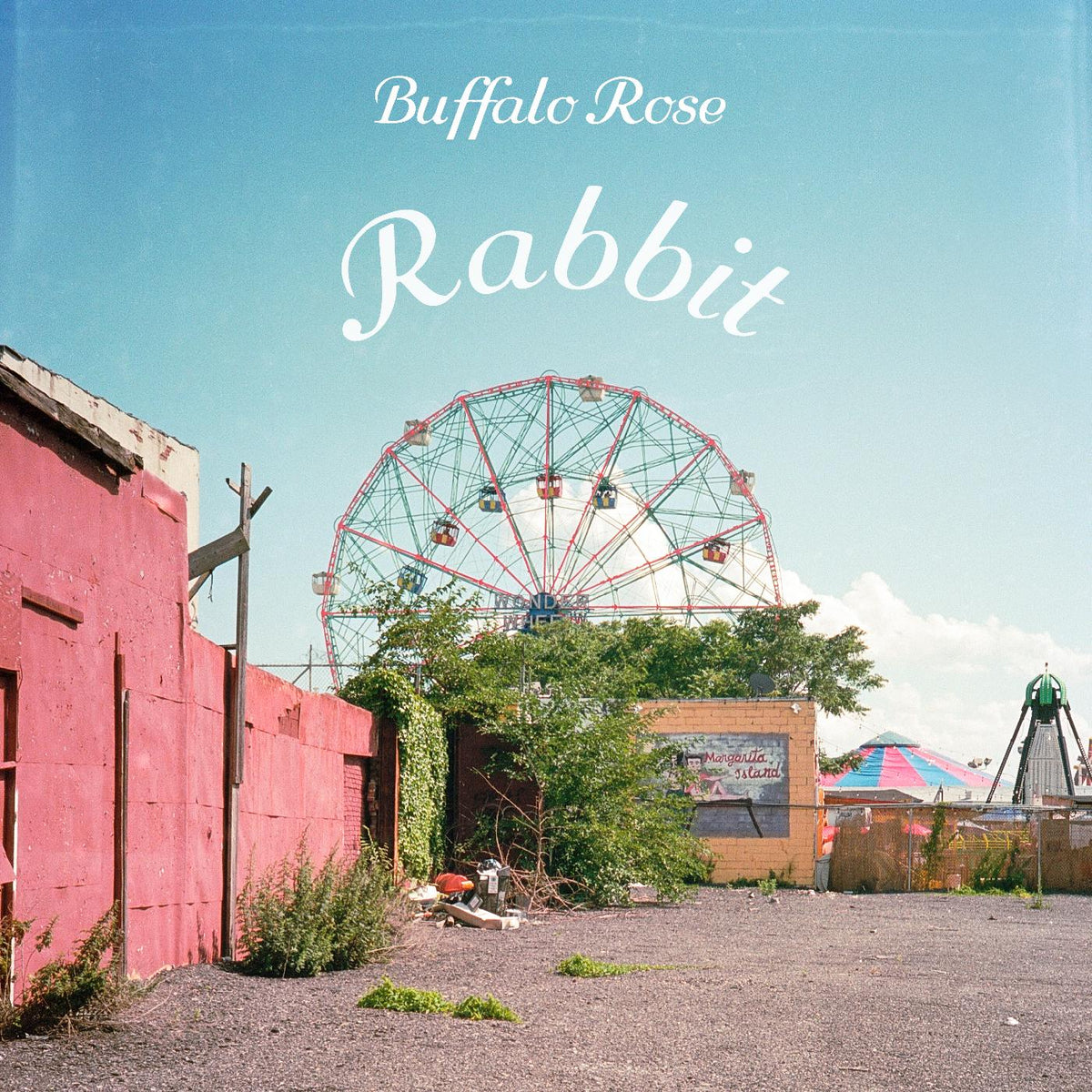 Buffalo Rose with Tom Paxton - Rabbit | CD
