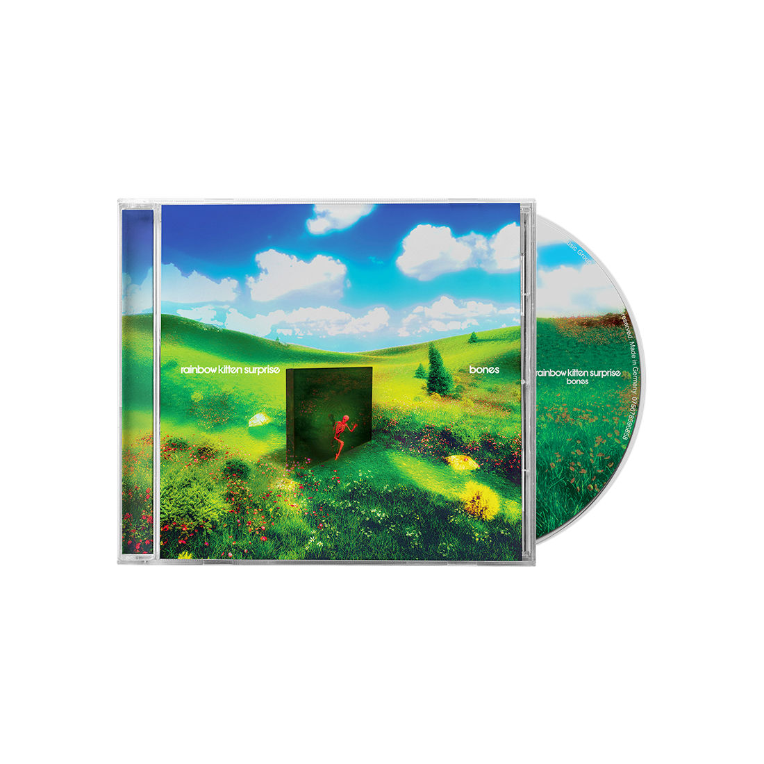 Rainbow Kitten Surprise - Bones (CD) | CD