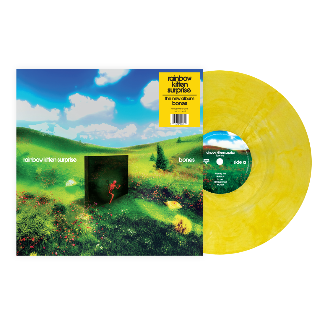 Rainbow Kitten Surprise | Bones (Indie Exclusive Banana Vinyl) | Vinyl