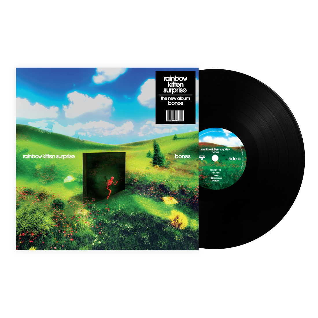 Rainbow Kitten Surprise | Bones (Standard Black Vinyl) | Vinyl
