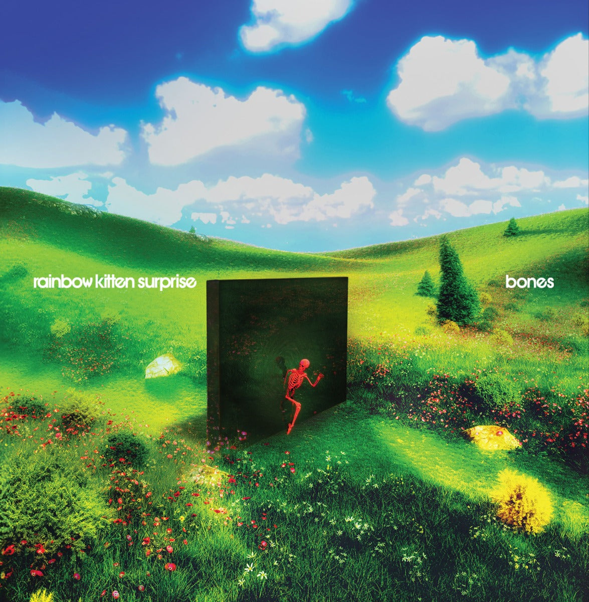 Rainbow Kitten Surprise | Bones (Standard Black Vinyl) | Vinyl