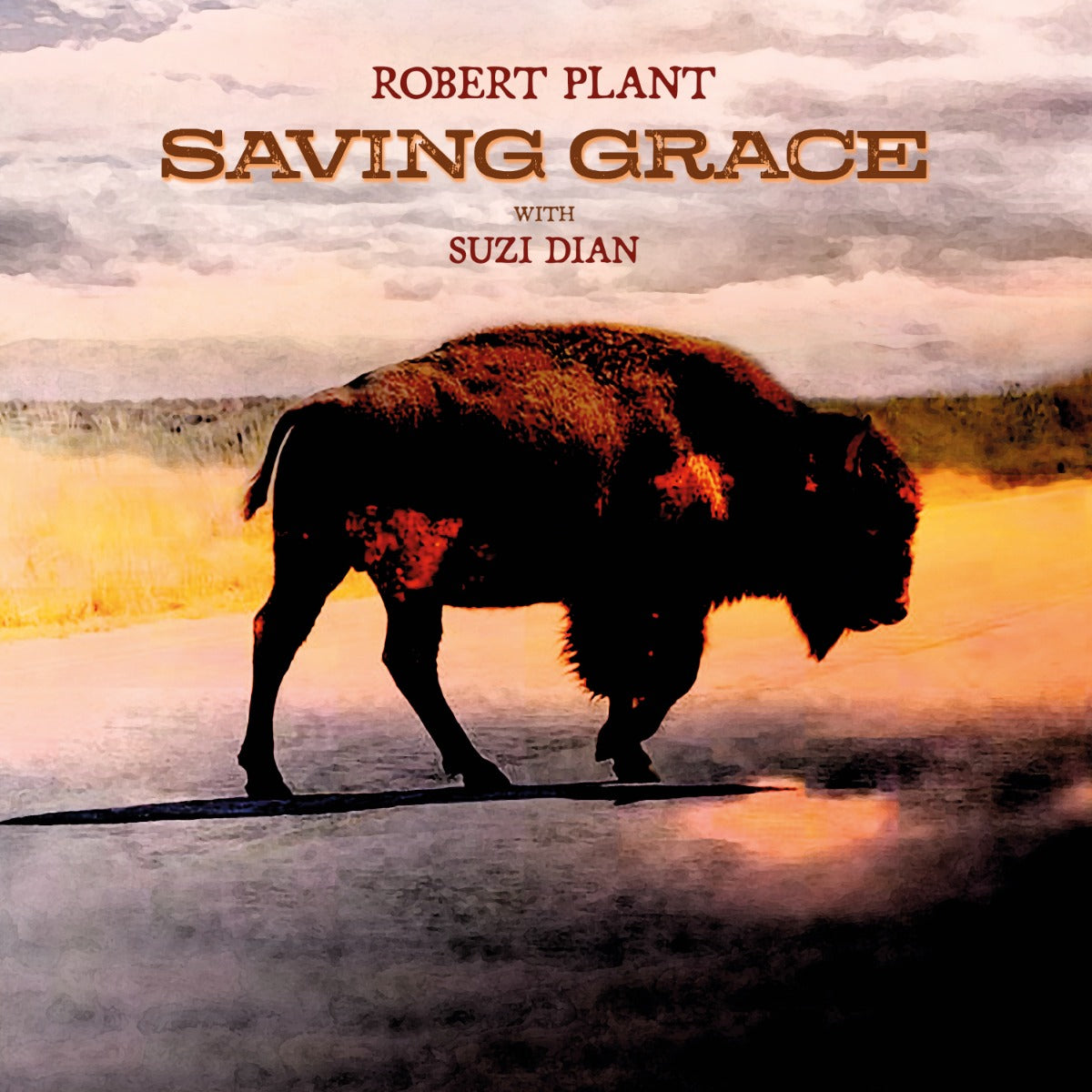 Robert Plant - Saving Grace (140G Black Vinyl) | Vinyl
