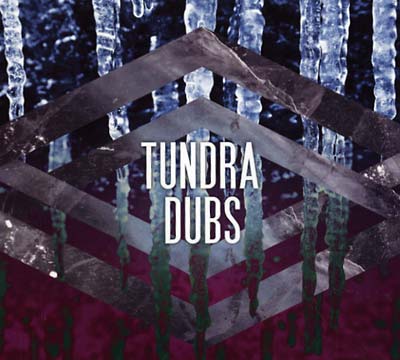 VA - Robot Elephant vs. Tundra Dubs | CD