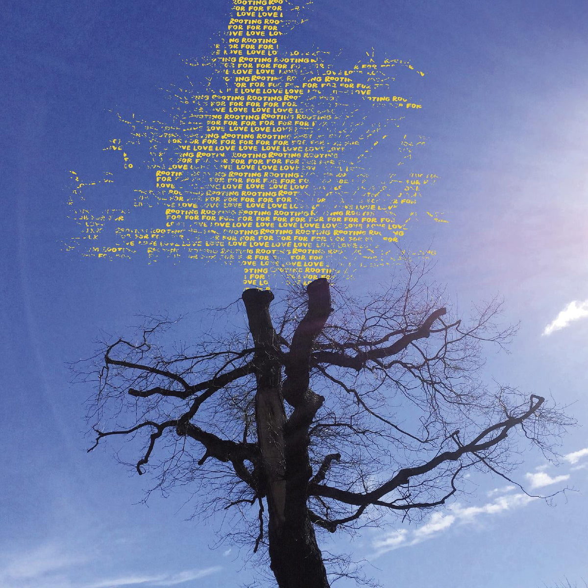 Laetitia Sadier - Rooting For Love | CD