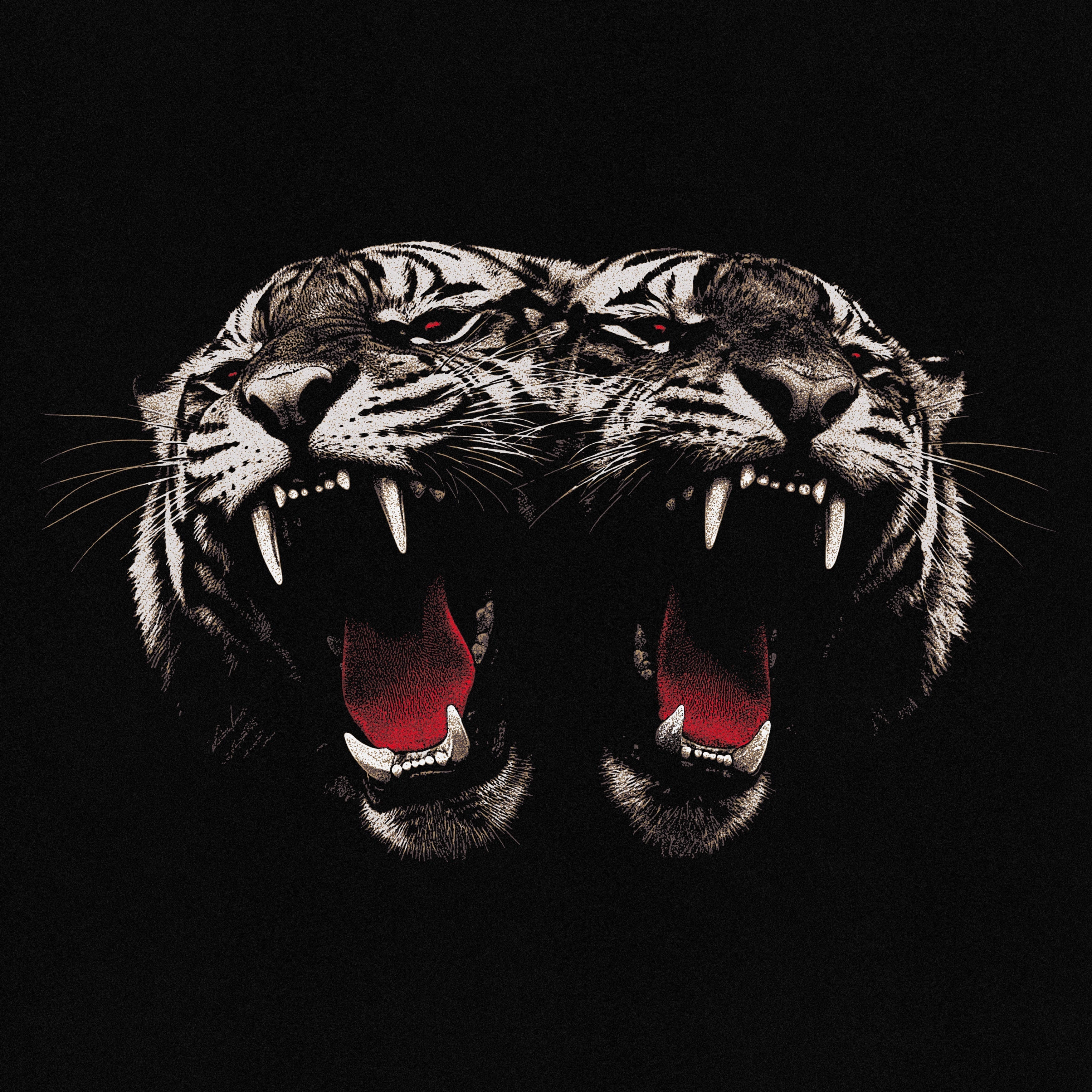 Royal Blood - Dead Company | CD