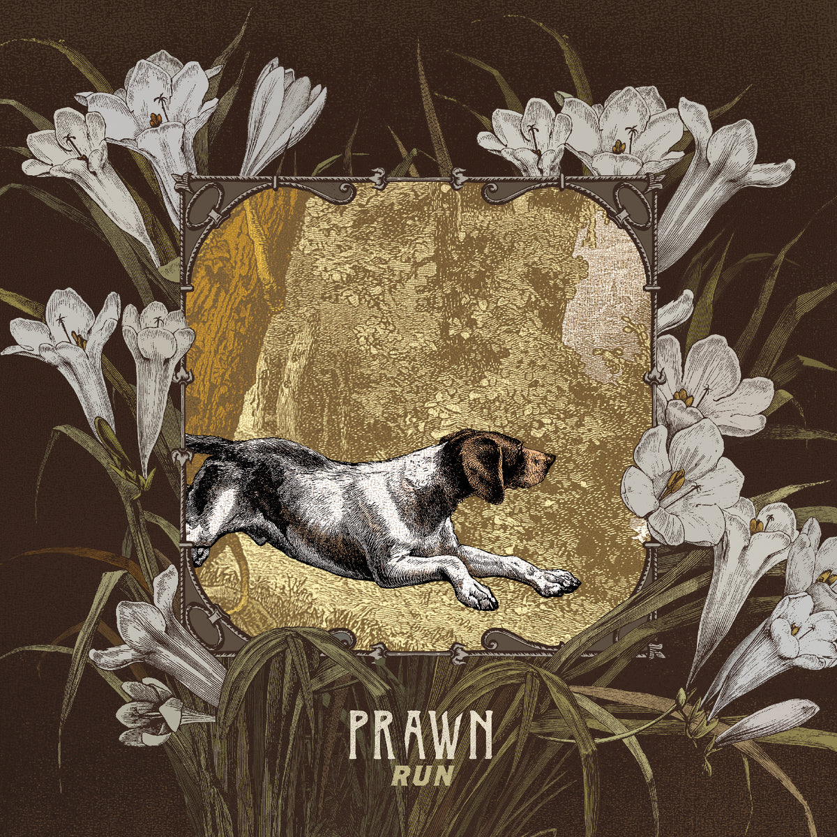 Prawn - Run | Cassette