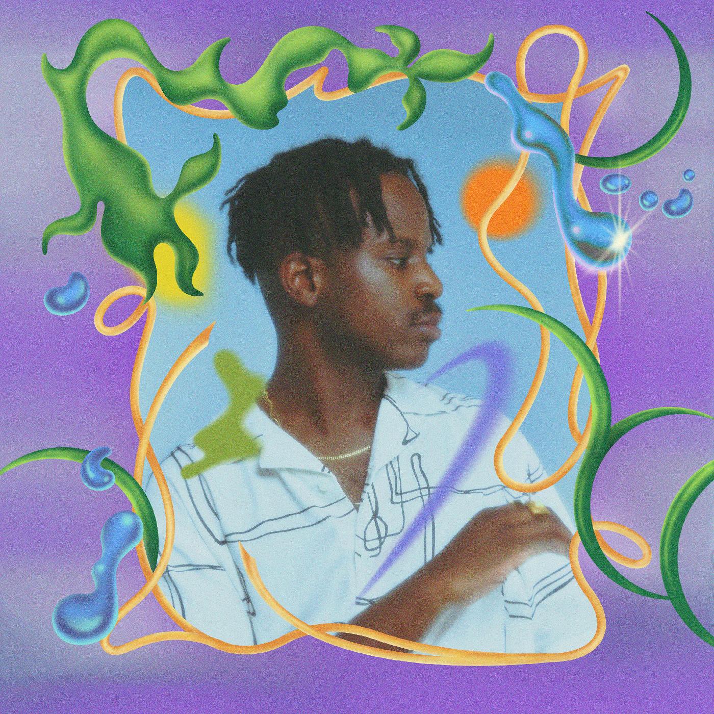 Salute | Shield (Indie Exclusive Rose Vinyl) | Vinyl