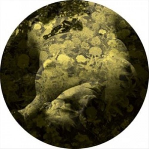 Salva - Yellobone - 12_x001A_ | Vinyl