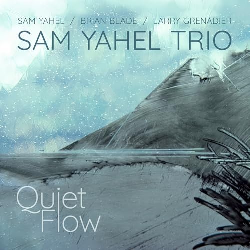 Sam Yahel - Quiet Flow | CD