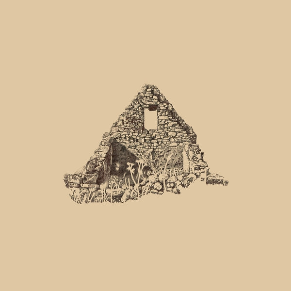 Fohn - Seanteach | Vinyl