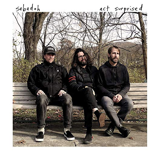 Sebadoh - Act Surprised | Vinyl