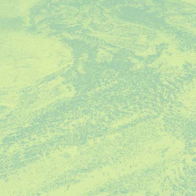 BRETT NAUCKE - Seed | Vinyl