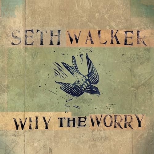 Seth Walker - Why The Worry | Vinyl
