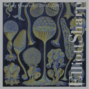 Jennifer / Huebner Choi | Sharp: String Quartets Volume 2 | CD