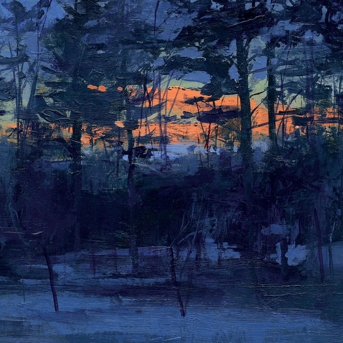 Animal Hospital | Shelf Life | Vinyl