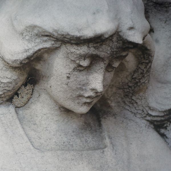 Iroha - Shepherds & Angels | CD