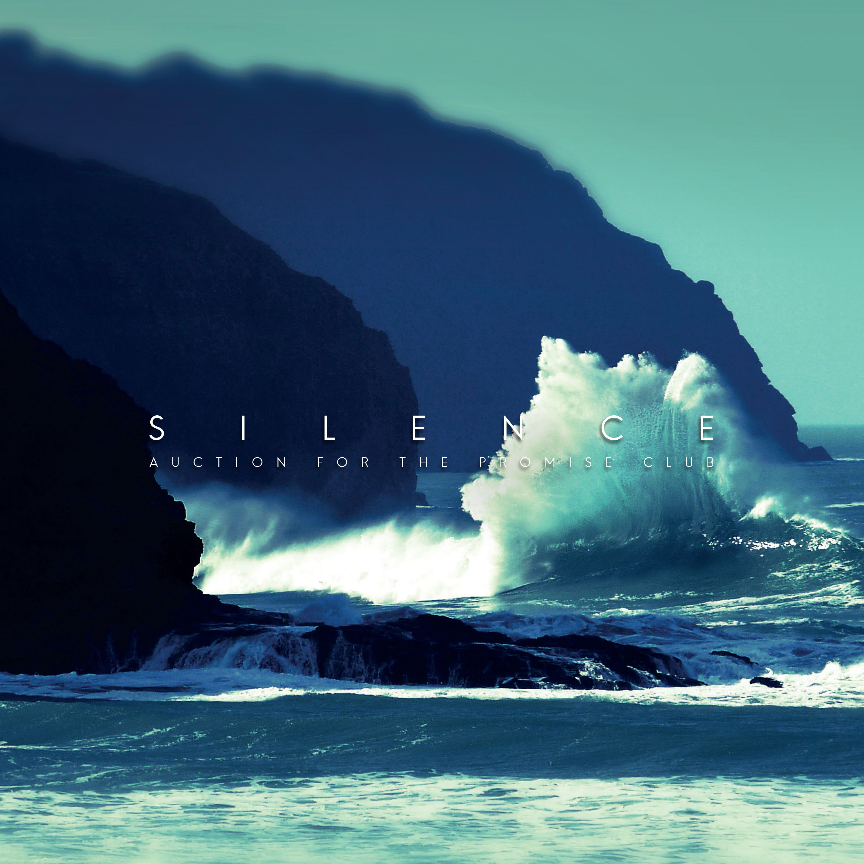 Auction For The Promise Club - Silence | Vinyl