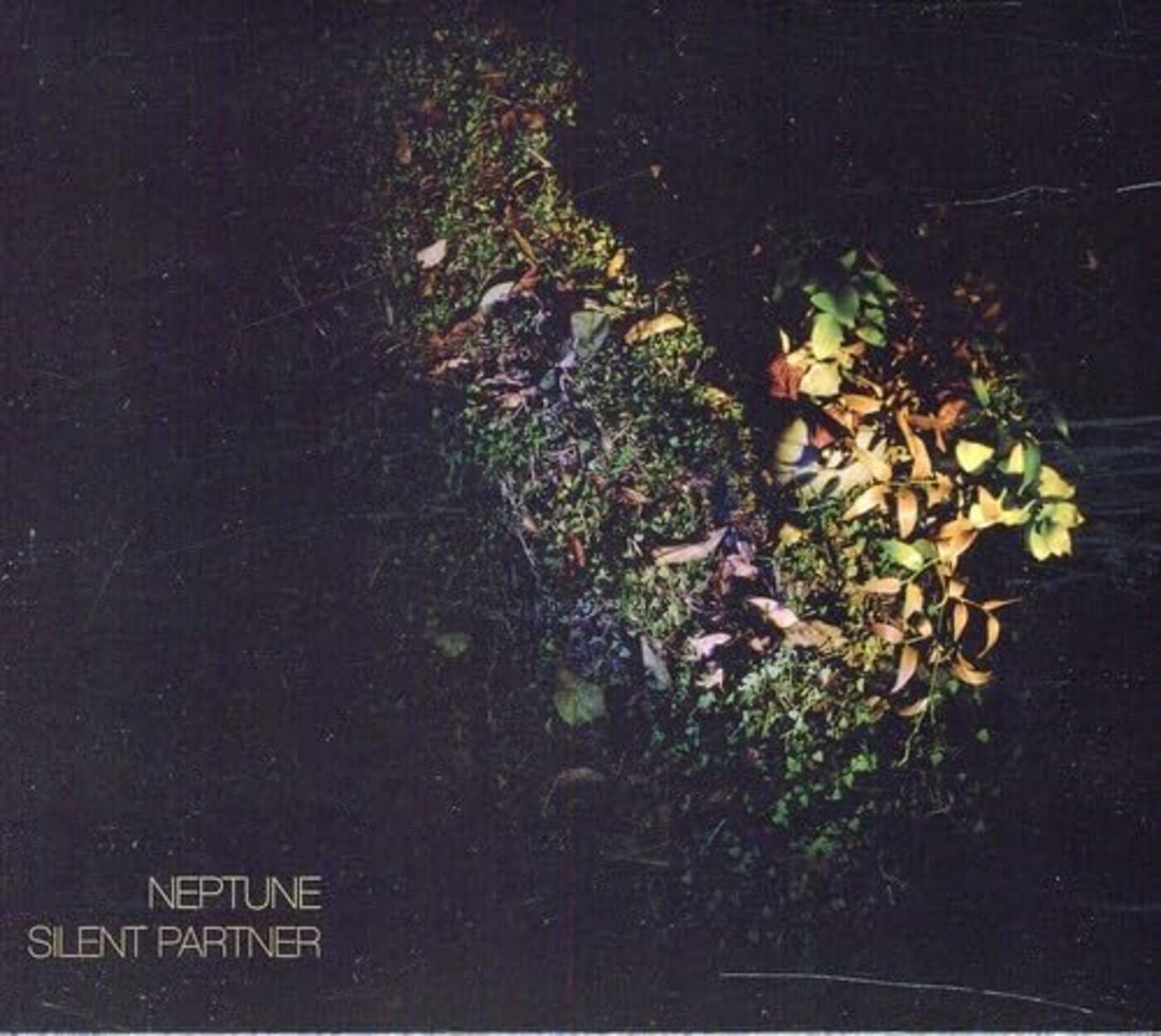 Neptune - Silent Partner | CD