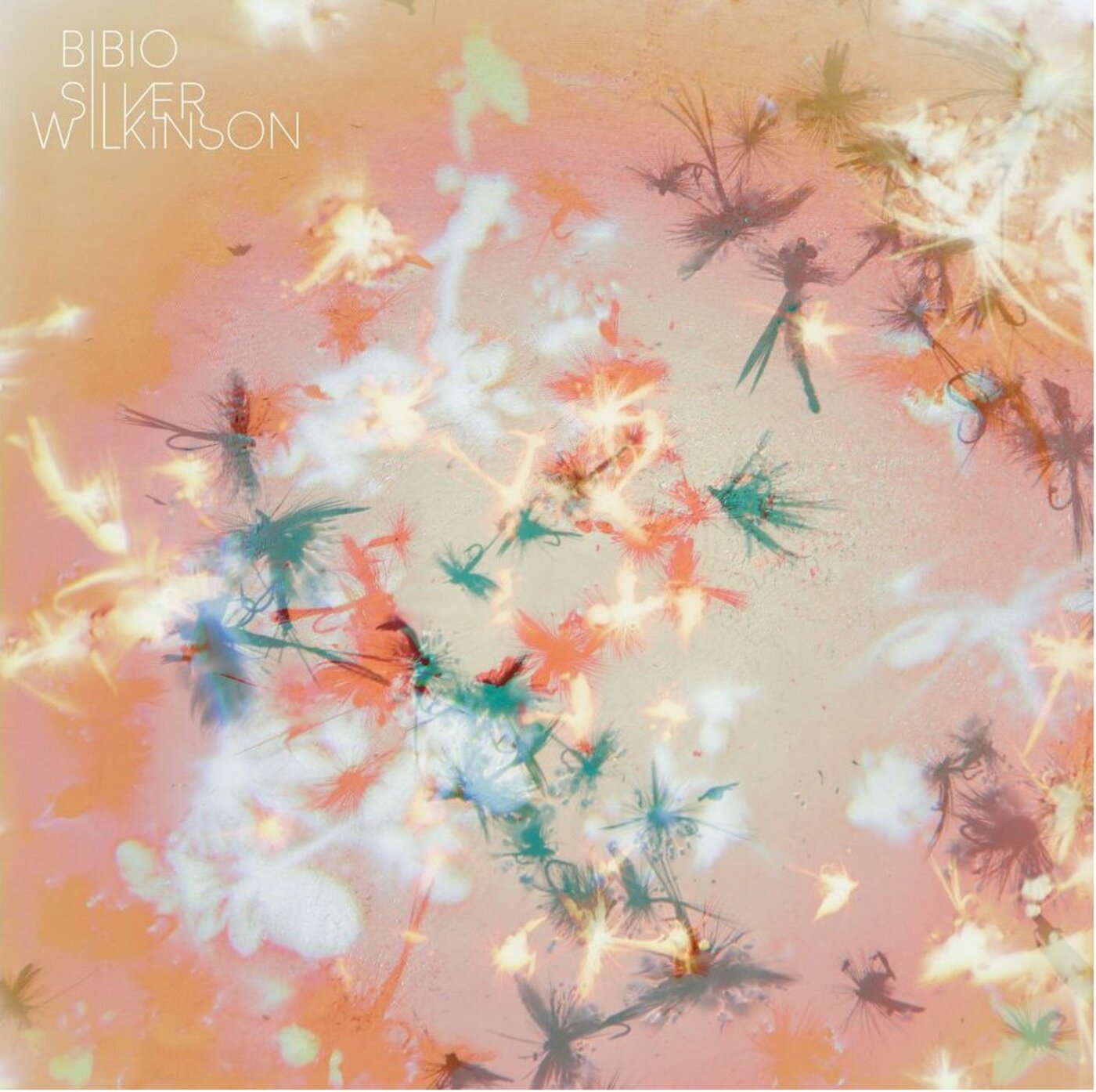 Bibio - Silver Wilkinson | CD