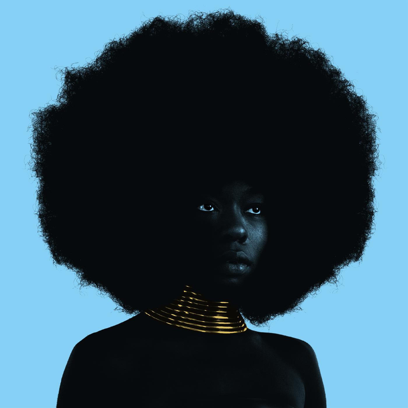 Sudan Archives - Sink | Vinyl
