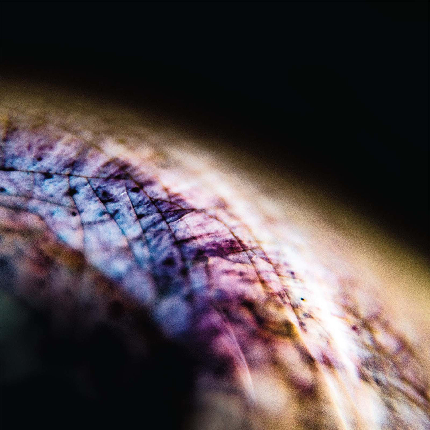 Emptyset - Skin | Vinyl
