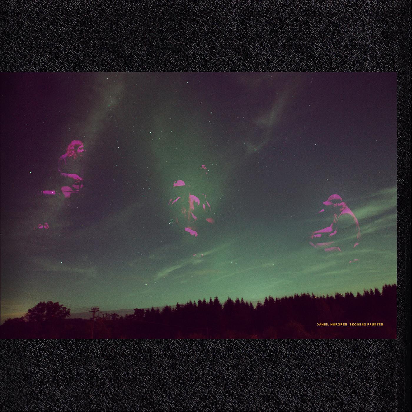 Daniel Norgren - Skogens Frukter | Vinyl