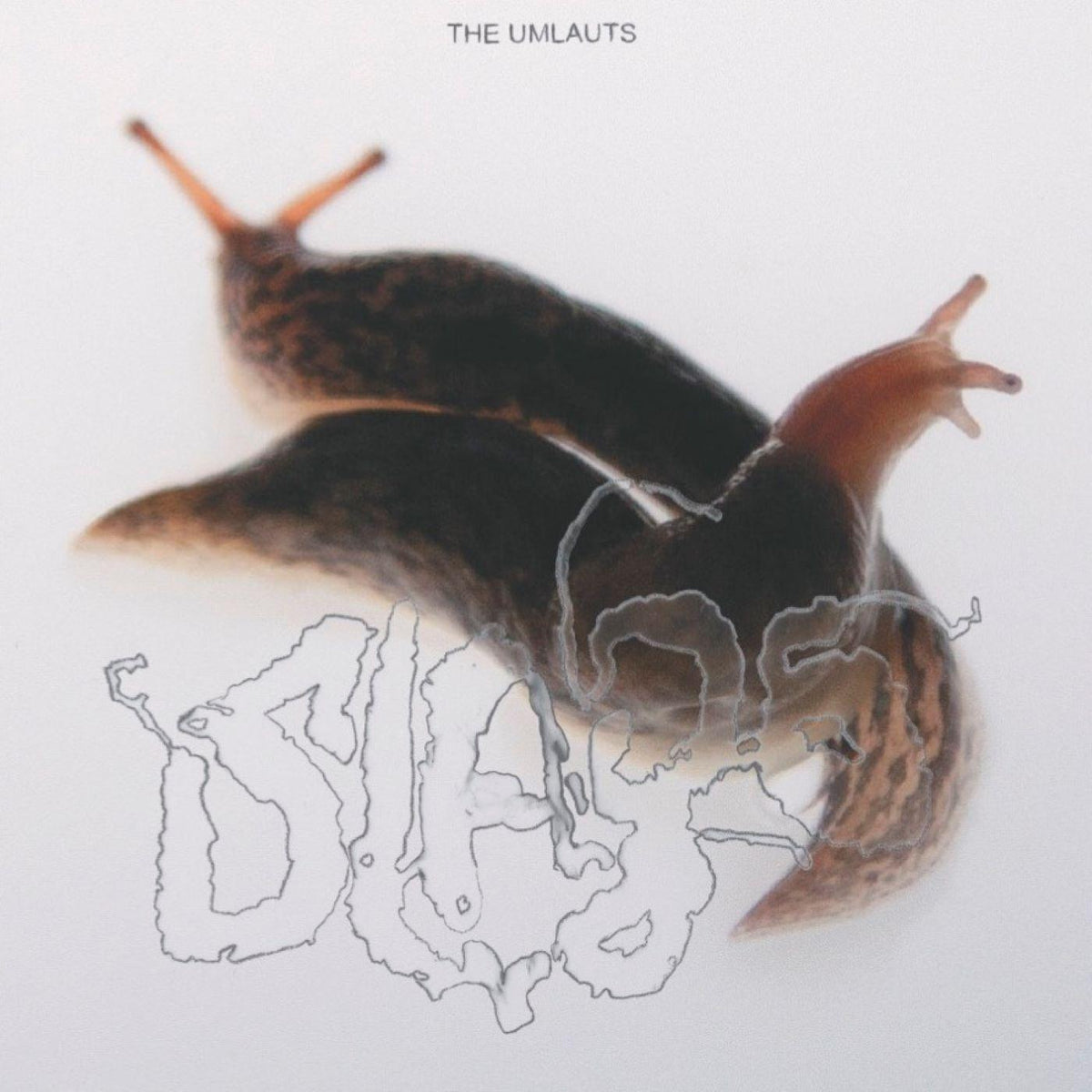 The Umlauts - Slags | Vinyl